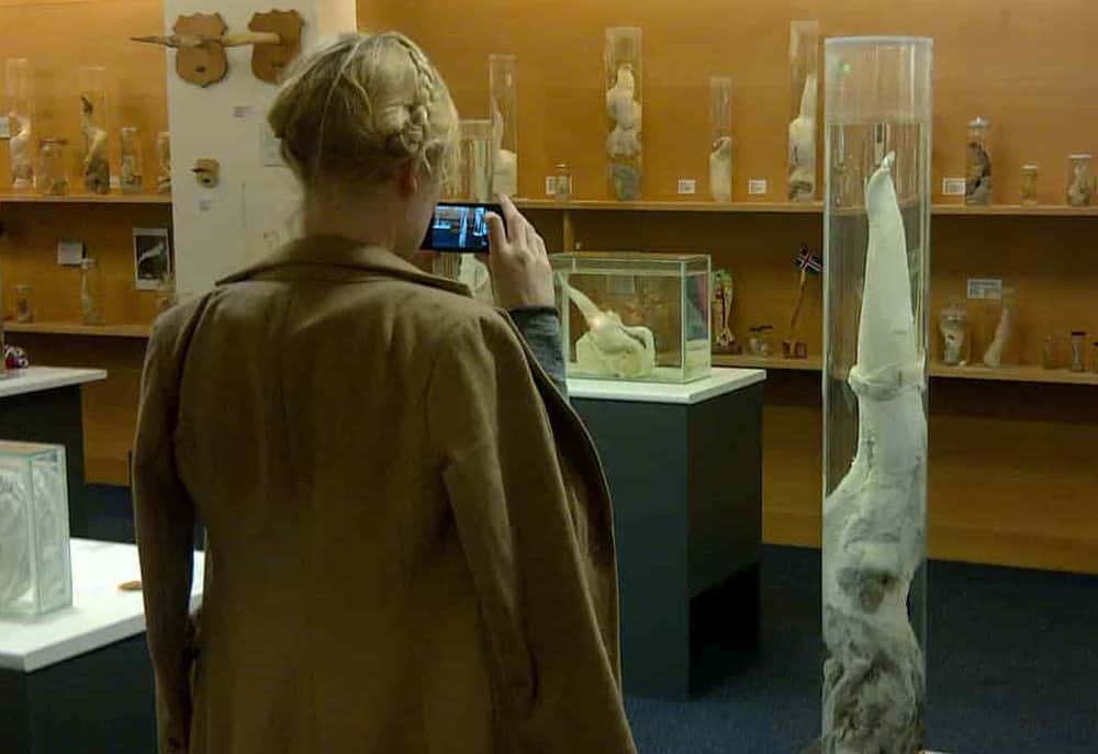 Mujer fotografiando en el Museo de los penes de Islandia